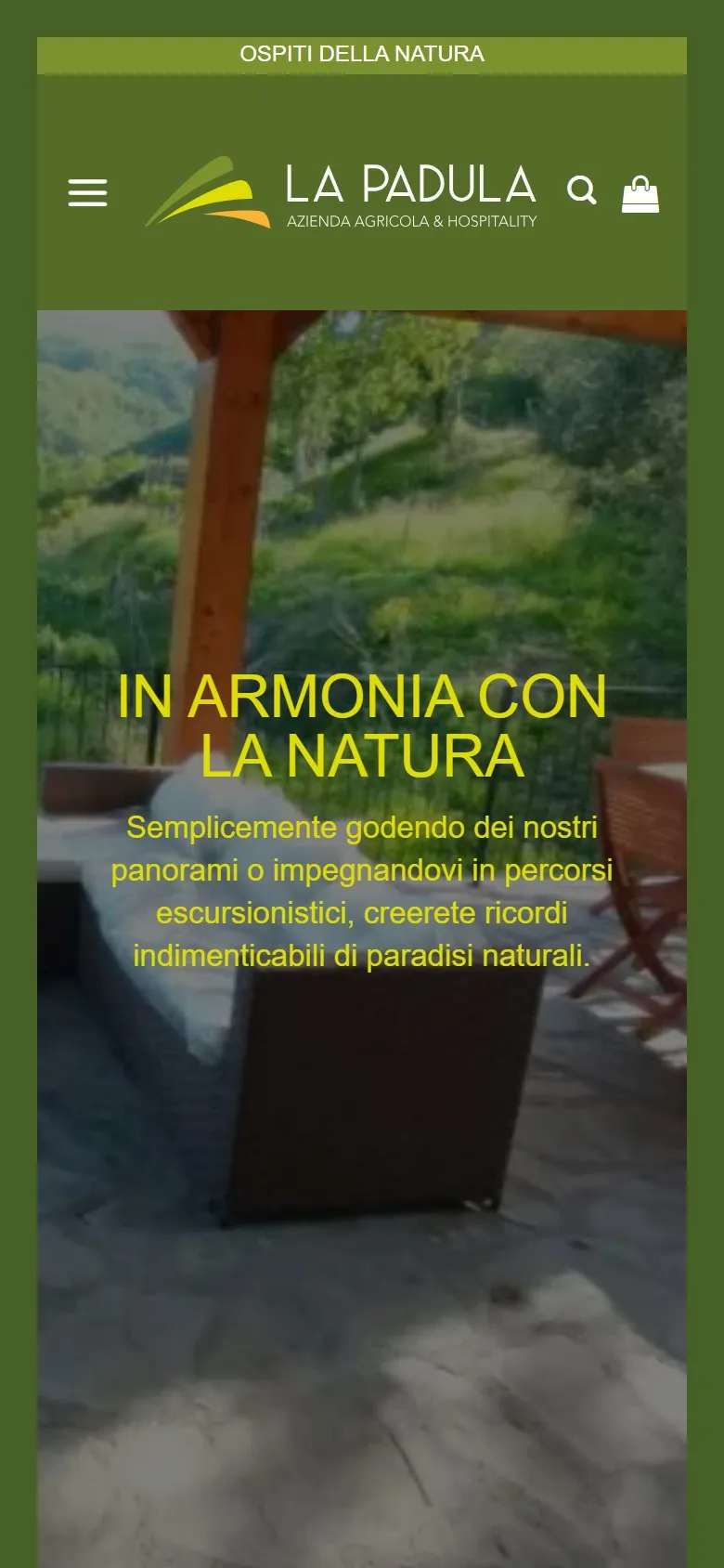 Il sito di La Padula visto da smartphone
